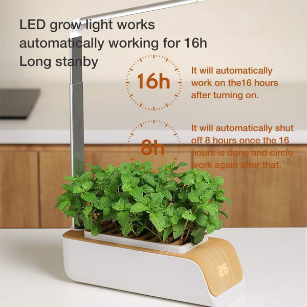 Smart Herb Garden Auto Planter